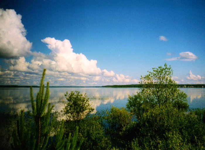 Озеро Пено. Тверская область.