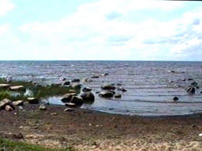 Вид на Рыбинку с восточного берега.